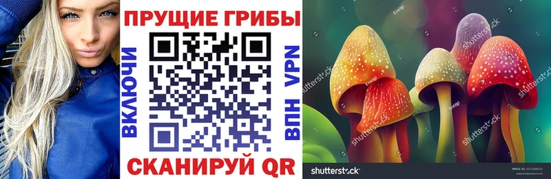 Галлюциногенные грибы прущие грибы  блэк спрут ссылка  Онега  дарк нет наркотические препараты  наркотики 